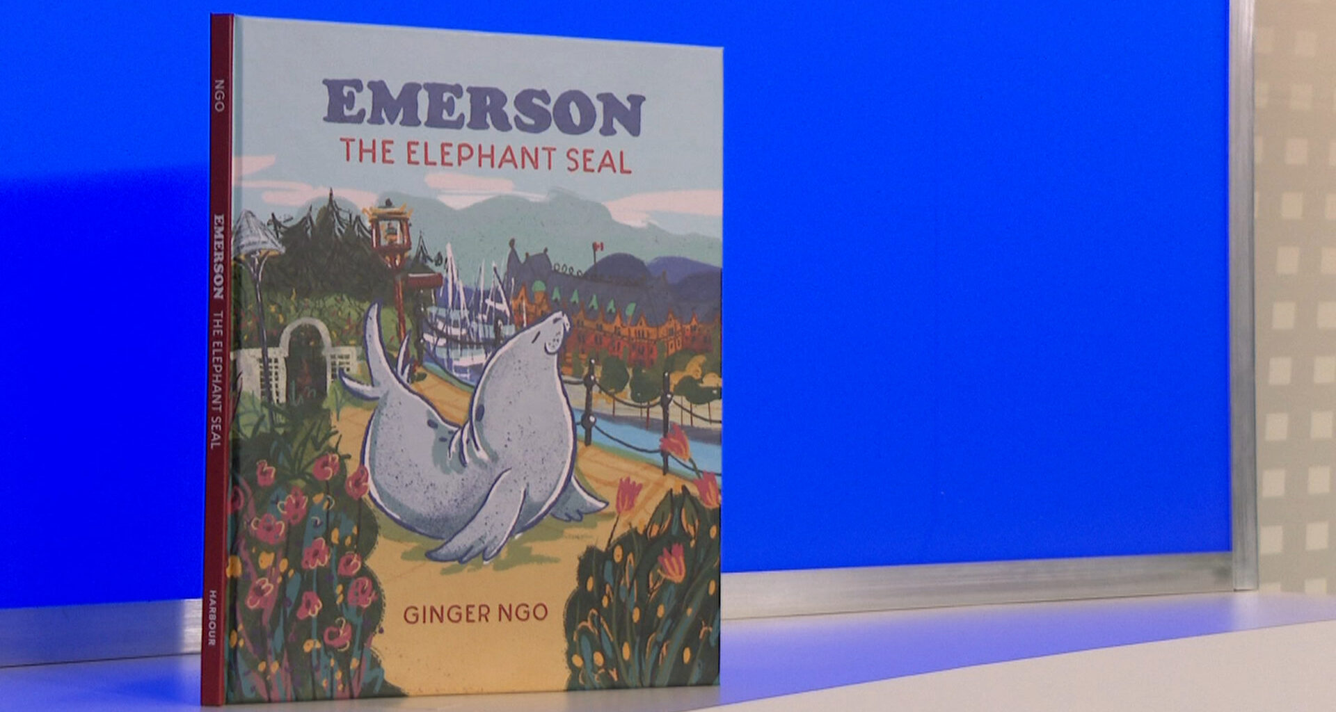 Emerson the elephant seal stars in new children’s book