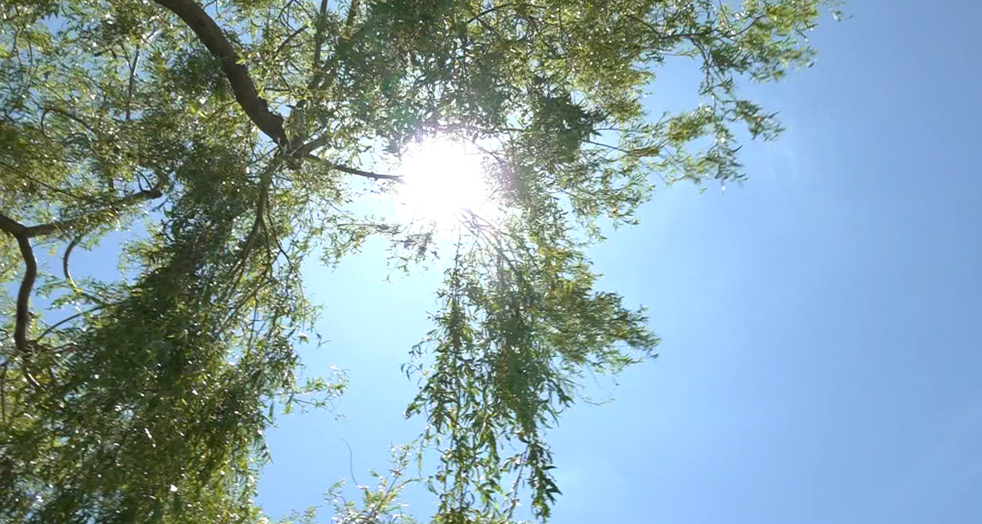 Heat warning for parts of Vancouver Island Saturday