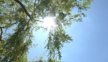 Heat warning for parts of Vancouver Island Saturday
