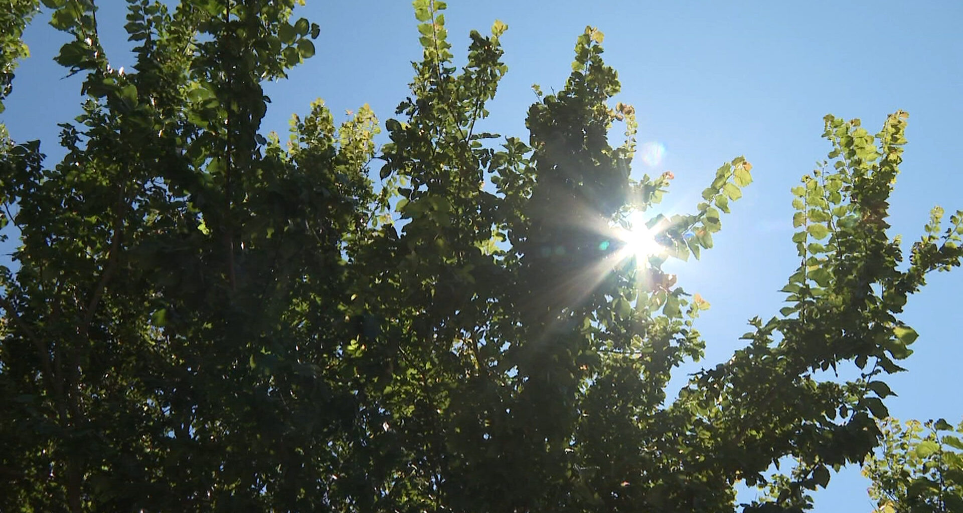Most of Vancouver Island under special weather statement for above seasonal temperatures