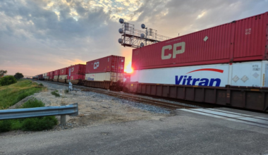 Saskatchewan’s wholesale market hits new stride in June