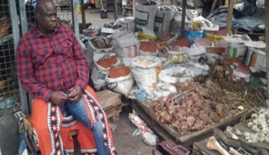 Traditional healers demand equal recognition for medical certificates - SABC News