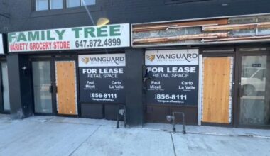 Little Jamaica sbusiness owners eek supports after dozens of stores close during LRT construction