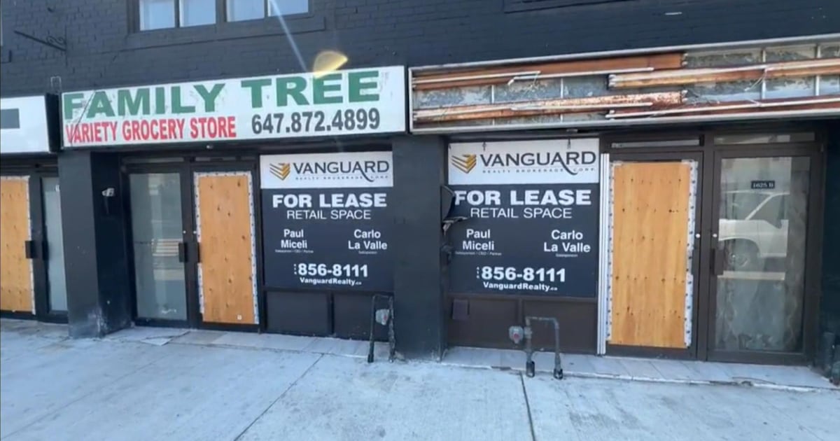 Little Jamaica sbusiness owners eek supports after dozens of stores close during LRT construction