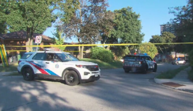 2 seriously injured, paramedics say