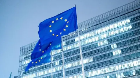 Getty Images EU flags outside a European Commission building in Brussels