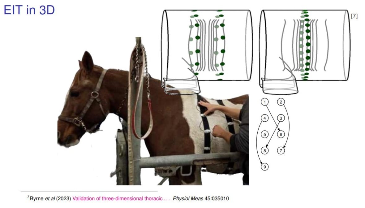 An infographic with an image of a horse with electrode patches connected to it