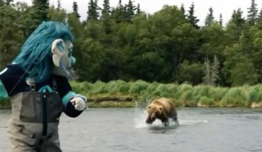 Seattle Kraken mascot Buoy has ‘close call’ with bear while filming content in Alaska