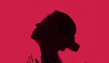 closeup of the cover for the vegetarian by han kang