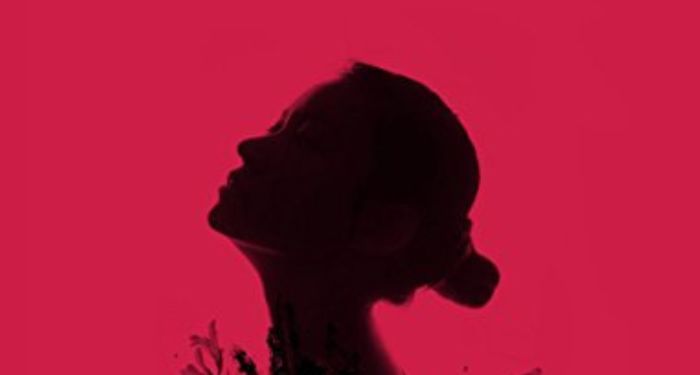 closeup of the cover for the vegetarian by han kang