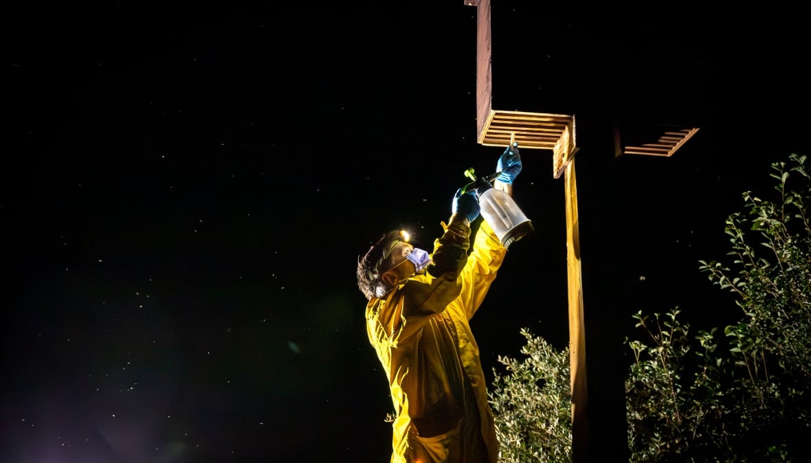 A man wearing a yellow raincoat and a mask sprays a bat house.
