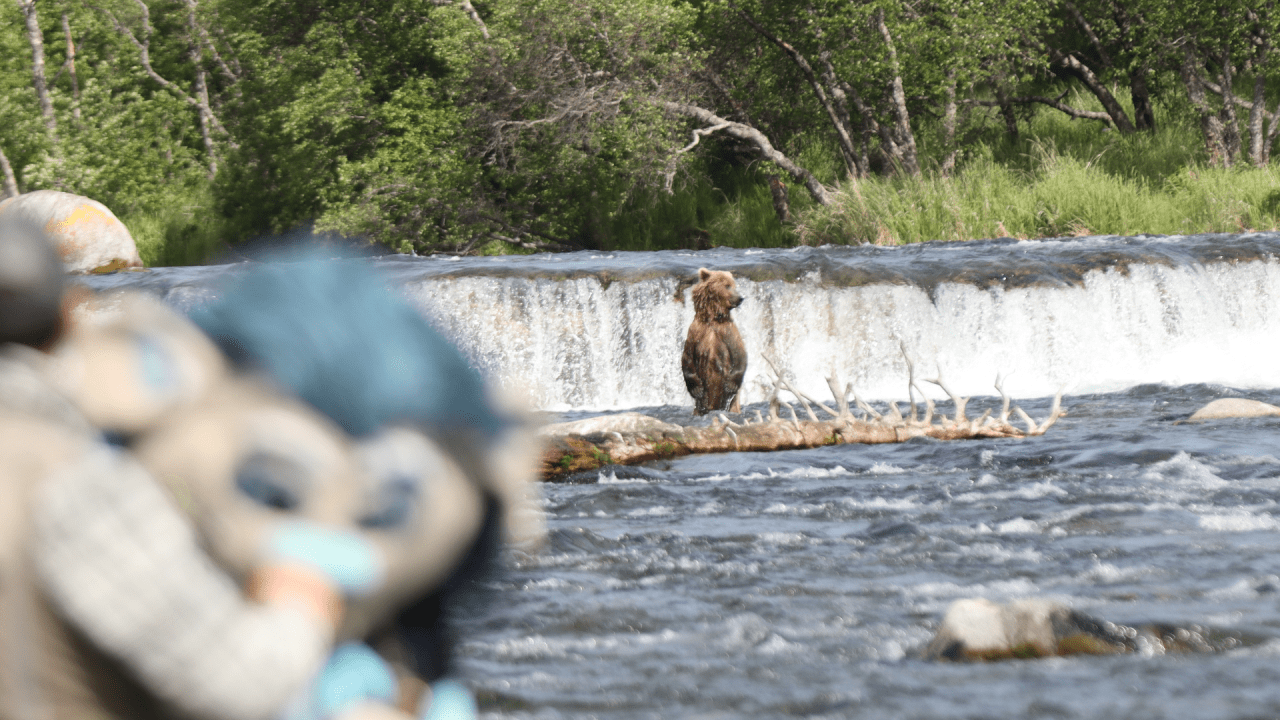 Brown Out: Buoy & Hayden’s Bear Adventure