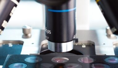 Innovative cryo-microscopy offers precise views of rapid cell activity