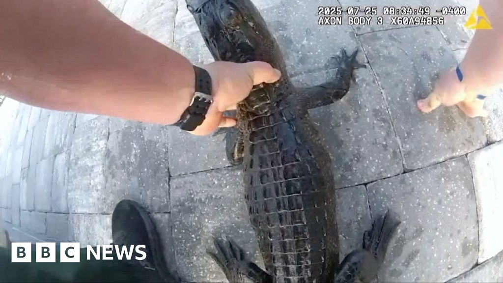 Florida officer pulls alligator from pool with bare hands