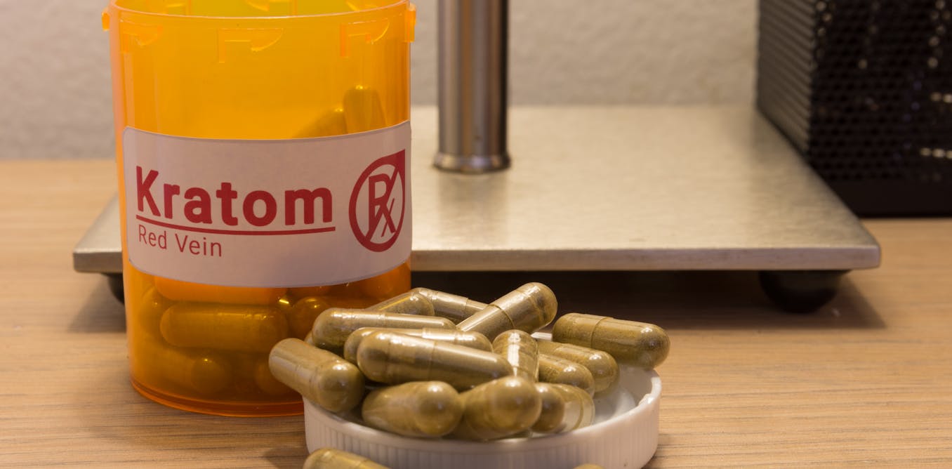 Balancing kratom’s potential benefits and risks − new legislation in Colorado seeks to minimize harm