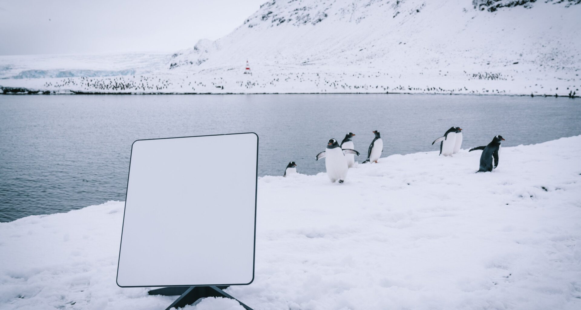 The Starlink Standard kit is now 50% off at Best Buy for a limited time