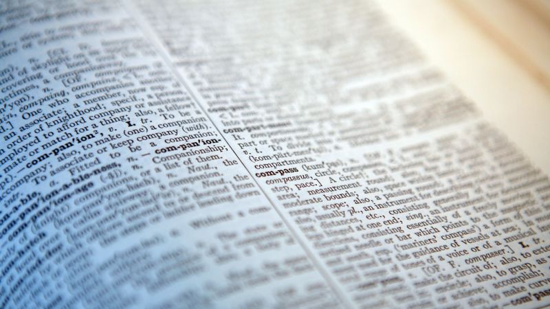 Cambridge Dictionary’s latest additions include ‘skibidi,’ ‘tradwife’ and ‘delulu’