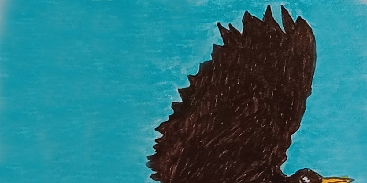 Blackbird story takes flight for first time octogenarian author