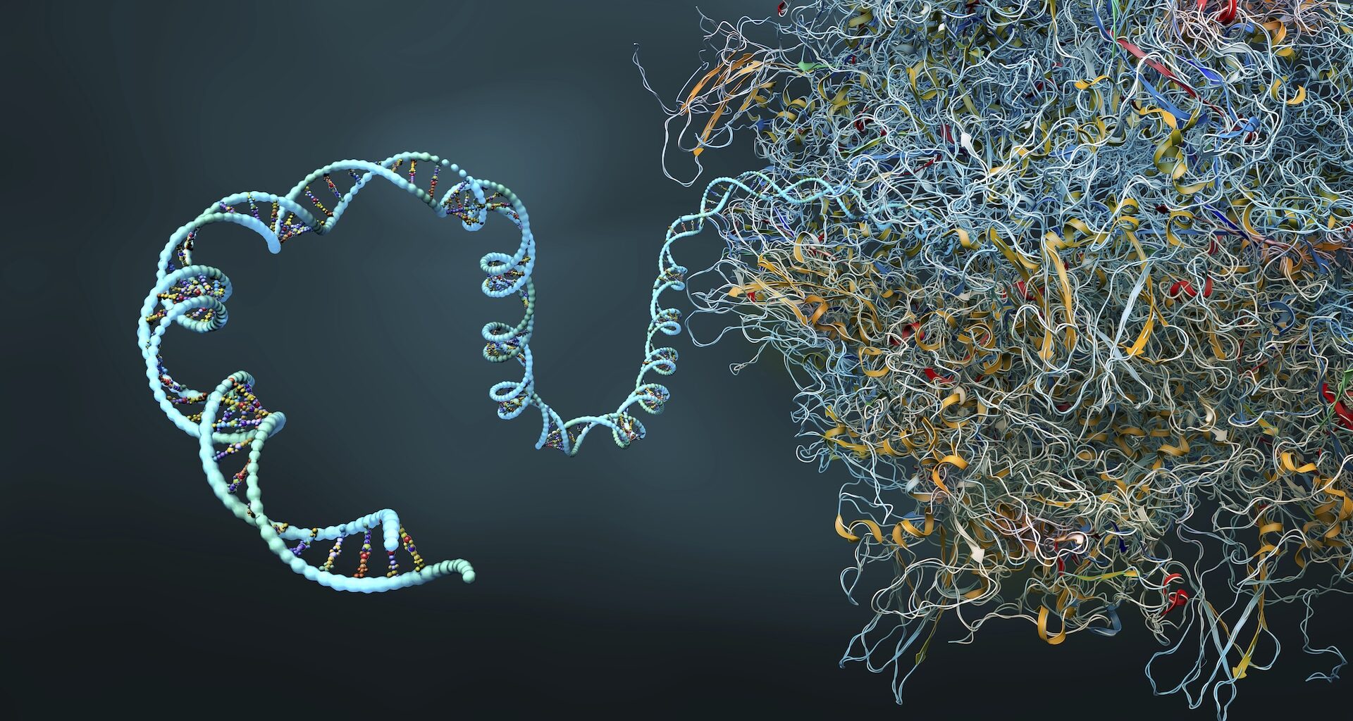a digital illustration of an unwinding ribosome
