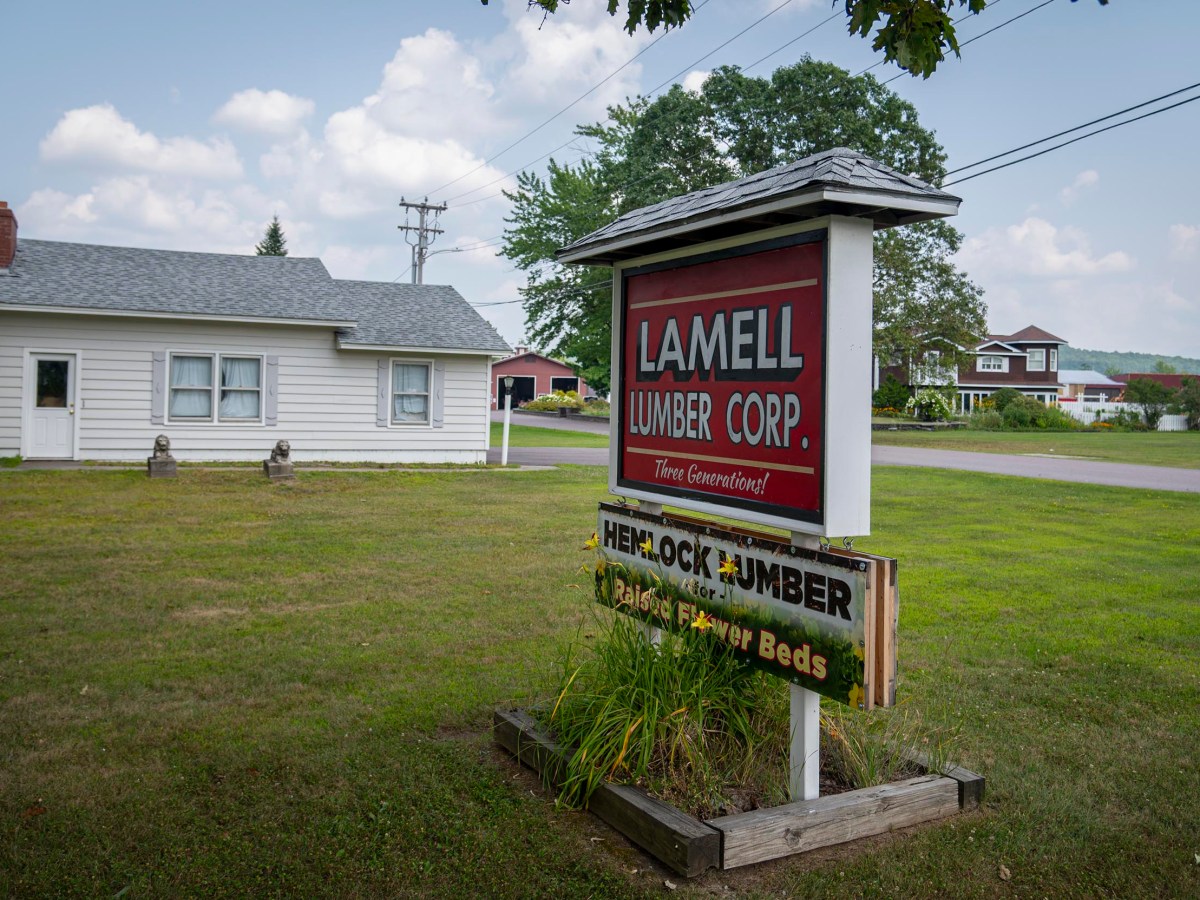 Federal immigration officers arrest migrant workers during targeted raid at Essex lumberyard