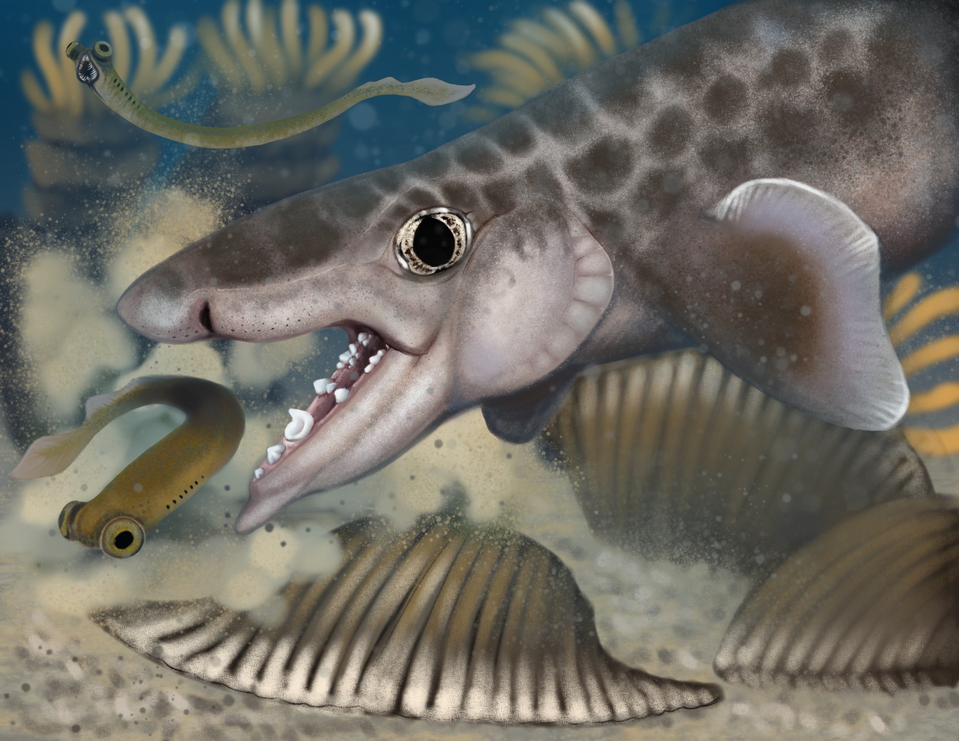 Proposed reconstruction of the new to science species Macadens olsoni, discovered through fossil research at Mammoth Cave National Park. Graphic depicting a prehistoric shark with large, jagged teeth about to bite a small, large-eyed sea creature.