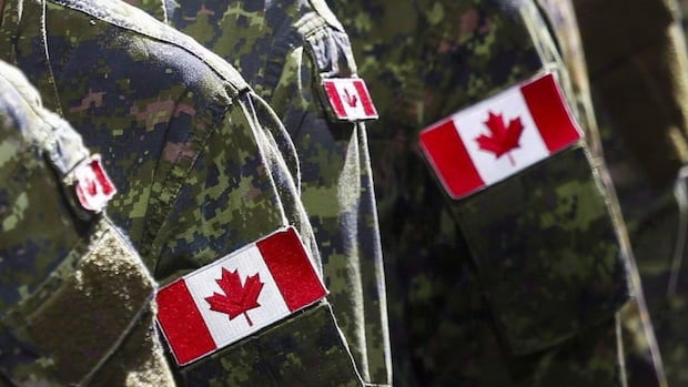 5 Canadian soldiers suspended after Nazi salute video emerges