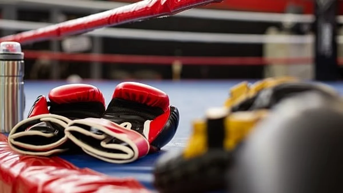 North East Boxing Association formed in Guwahati
