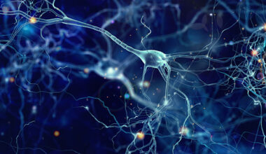 Developer-Working-on-AI-Software