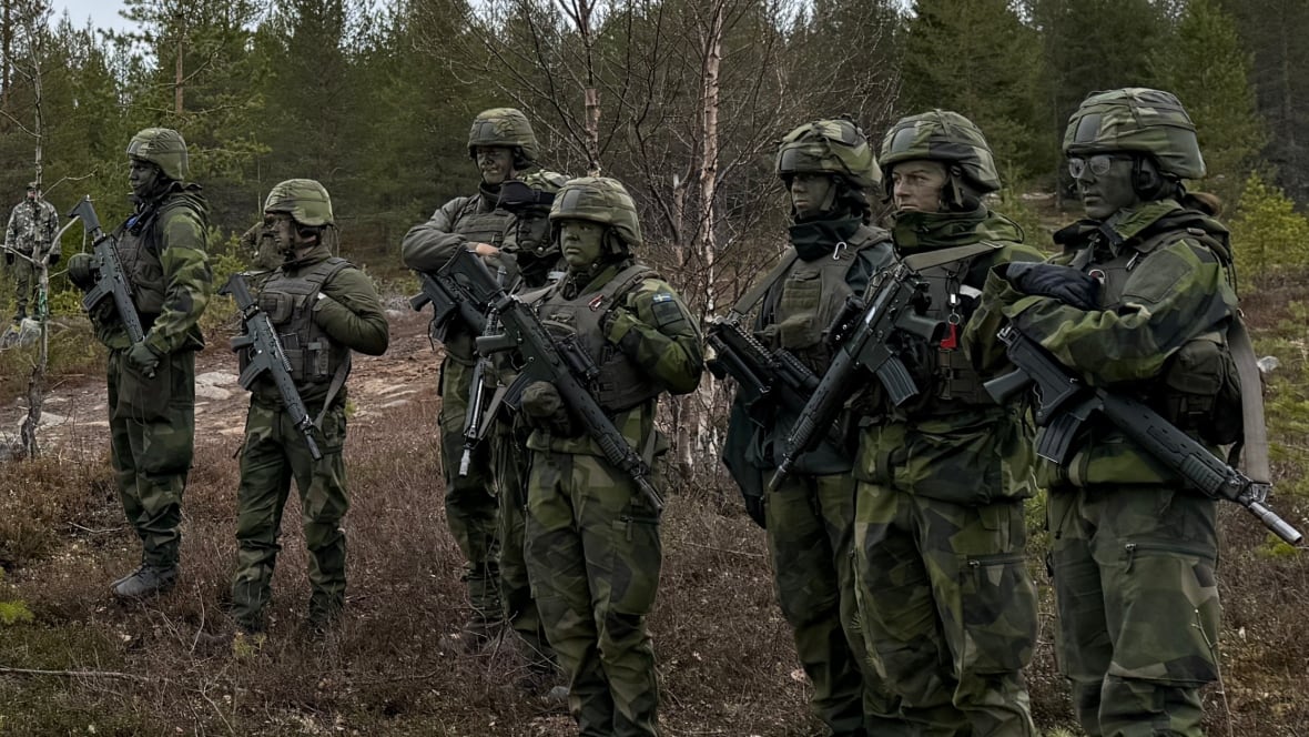 Swedish soldiers holding rifles look at military exercises
