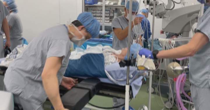 ‘What a beautiful view’: Blind B.C. woman sees after doctors implant tooth in her eye