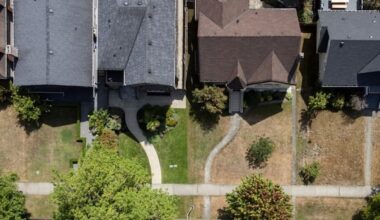 In a sea of brown lawns, why some natural gardeners are bringing messy back