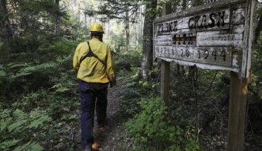 Firefighters save WW II plane crash site from West Dalhousie wildfire