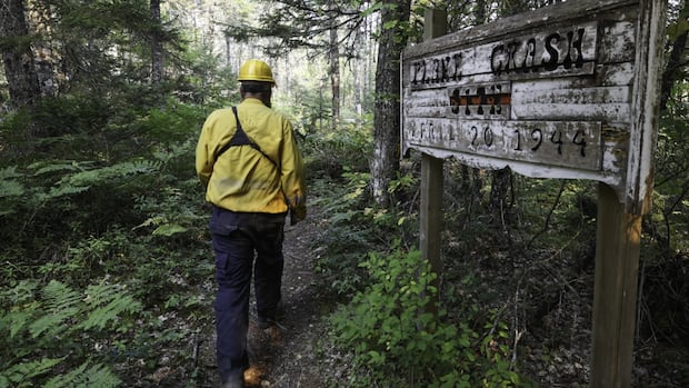 Firefighters save WW II plane crash site from West Dalhousie wildfire