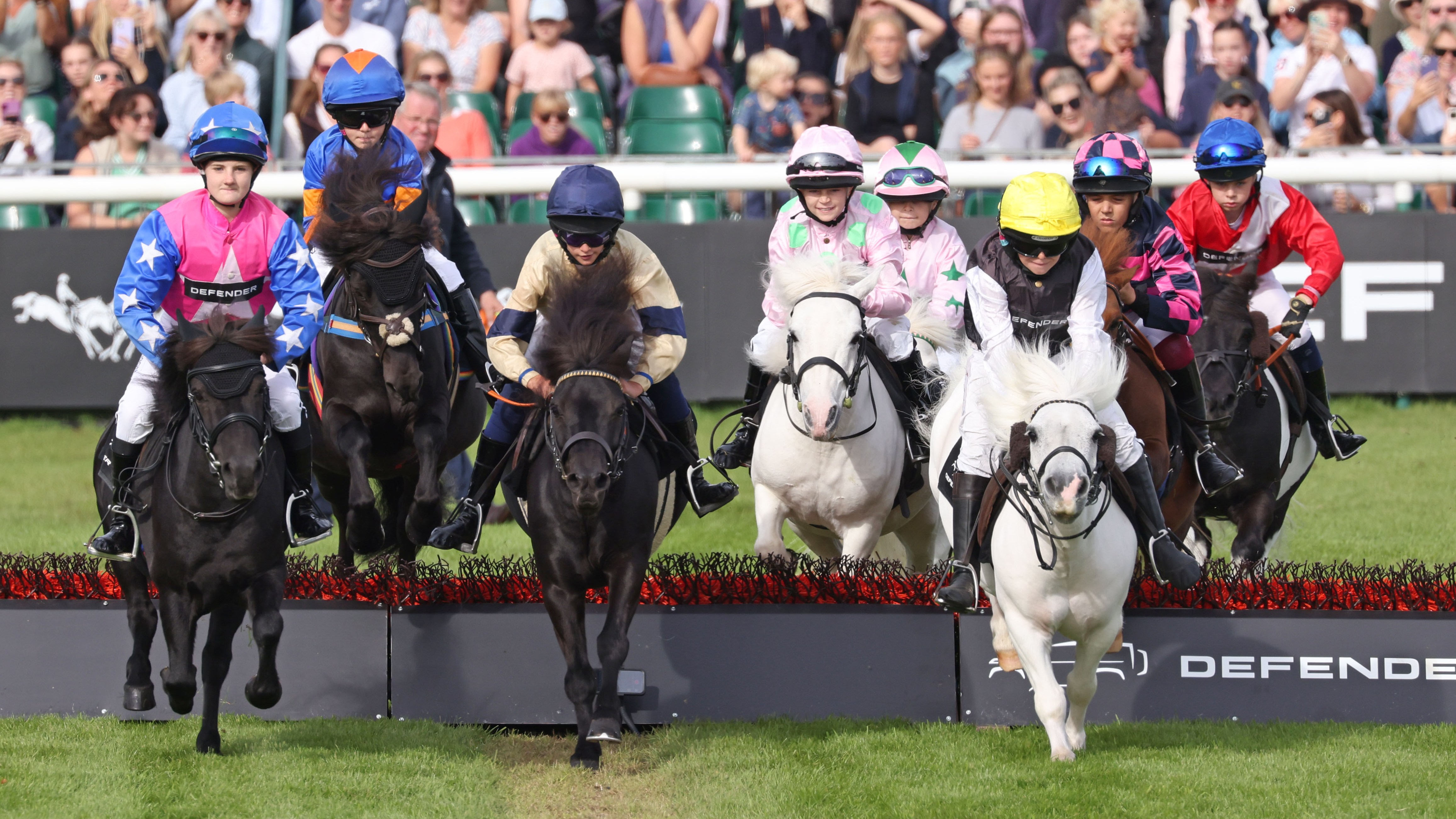 On their not-so-high horses — and other news in pictures