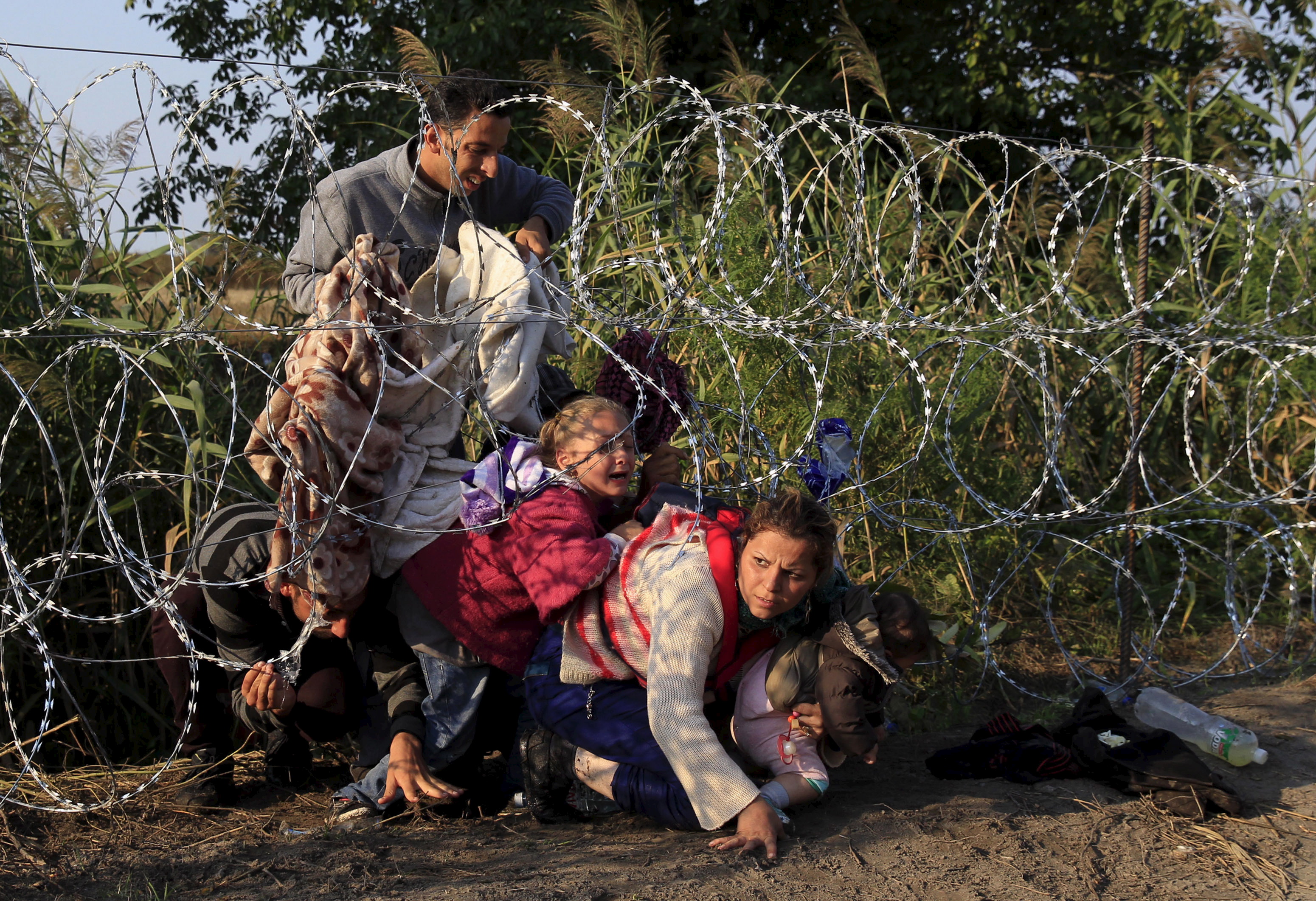 Syrian migrants cross under a fence as they enter Hungary at the border with Serbia, near Roszke