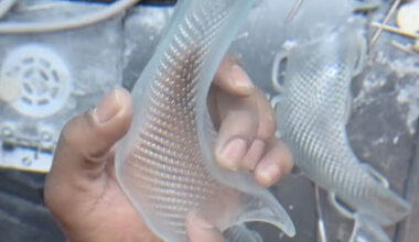 Fantastic Industrial Design Case Study: Creating a Custom Orthotic, Fast, with Formlabs