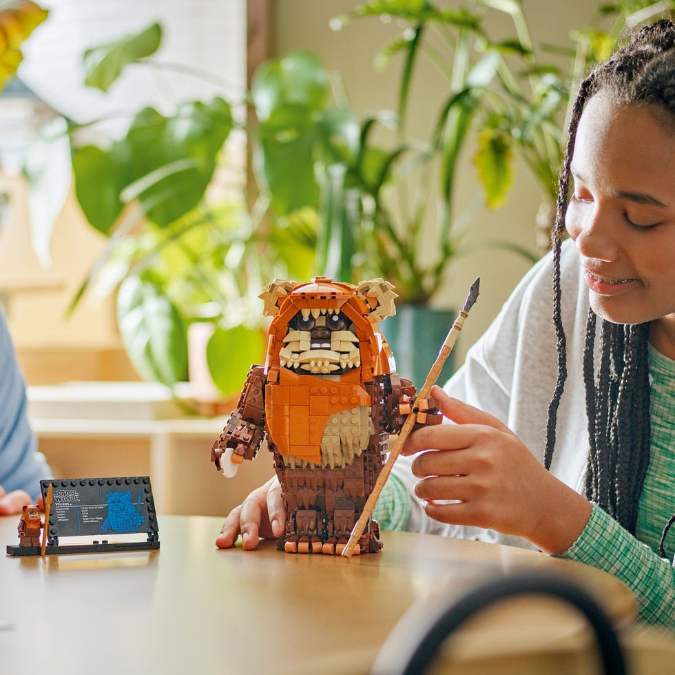 Wicket the Ewok (LEGO 75430) 