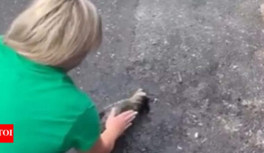 Viral video: Kentucky nurse revives baby raccoon with CPR; watch