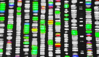 How Micronutrient Shortages Changed Human DNA