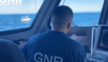 Orcas attack boat off Portugal coast for third time in a week as four rescued