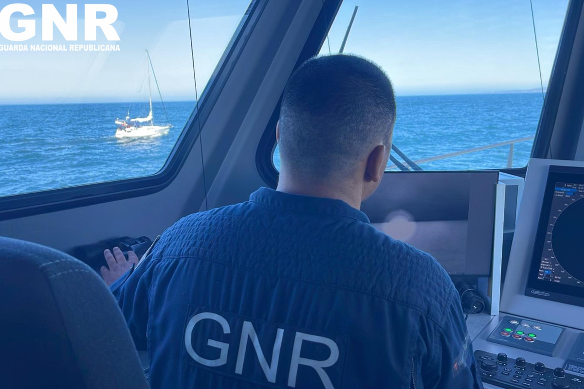 Orcas attack boat off Portugal coast for third time in a week as four rescued