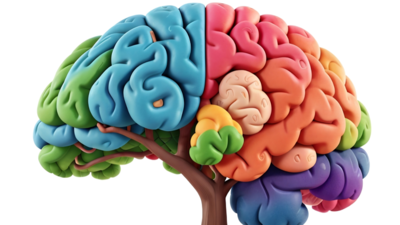 3 exercises that can rewire the brain and improve cognitive function and it has been proved by science