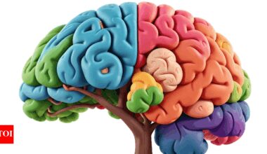 Brain Health: 3 exercises that can rewire the brain and improve cognitive function |