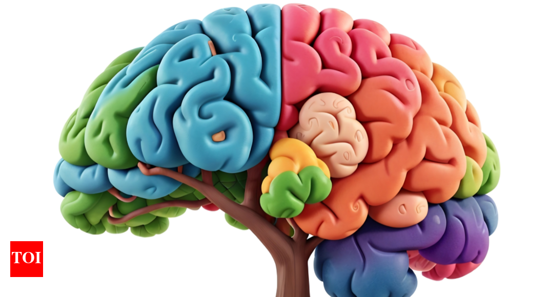 Brain Health: 3 exercises that can rewire the brain and improve cognitive function |
