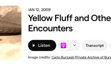 The horrors of the human botfly – Why Evolution Is True