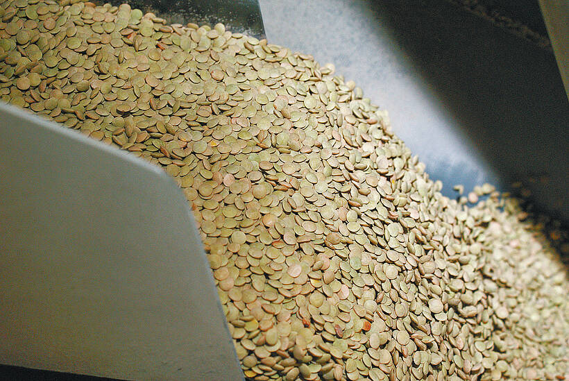 green lentils