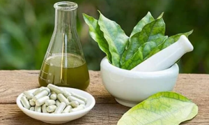 Global Rise of Traditional Medicine and Ayurveda in 2025 – GKToday