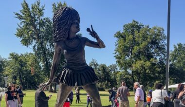 Tina Turner fans aren't impressed with new statue in her Tennessee hometown