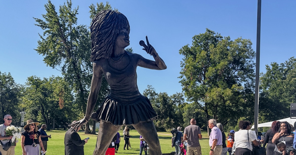 Tina Turner fans aren't impressed with new statue in her Tennessee hometown