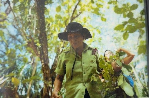 Honoring healing hands: “Mama Chai” receives CAHA masters award - KUAM.com